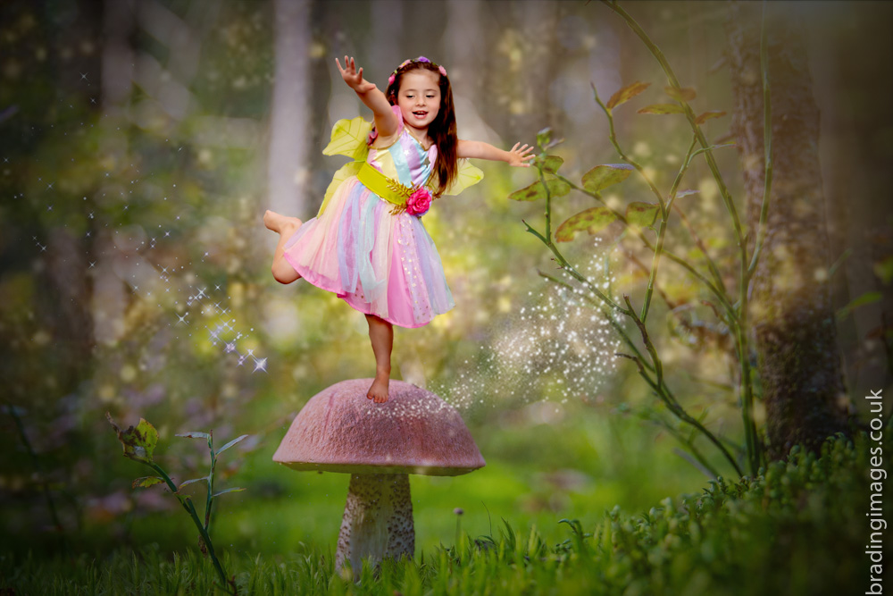 Kids - Enchanted Fairies - Image 11